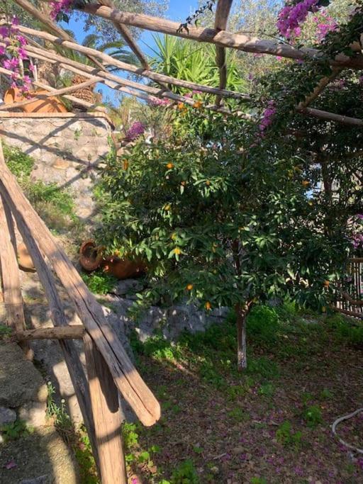 Villa Hermosa Costiera Amalfitana Ngoại thất bức ảnh