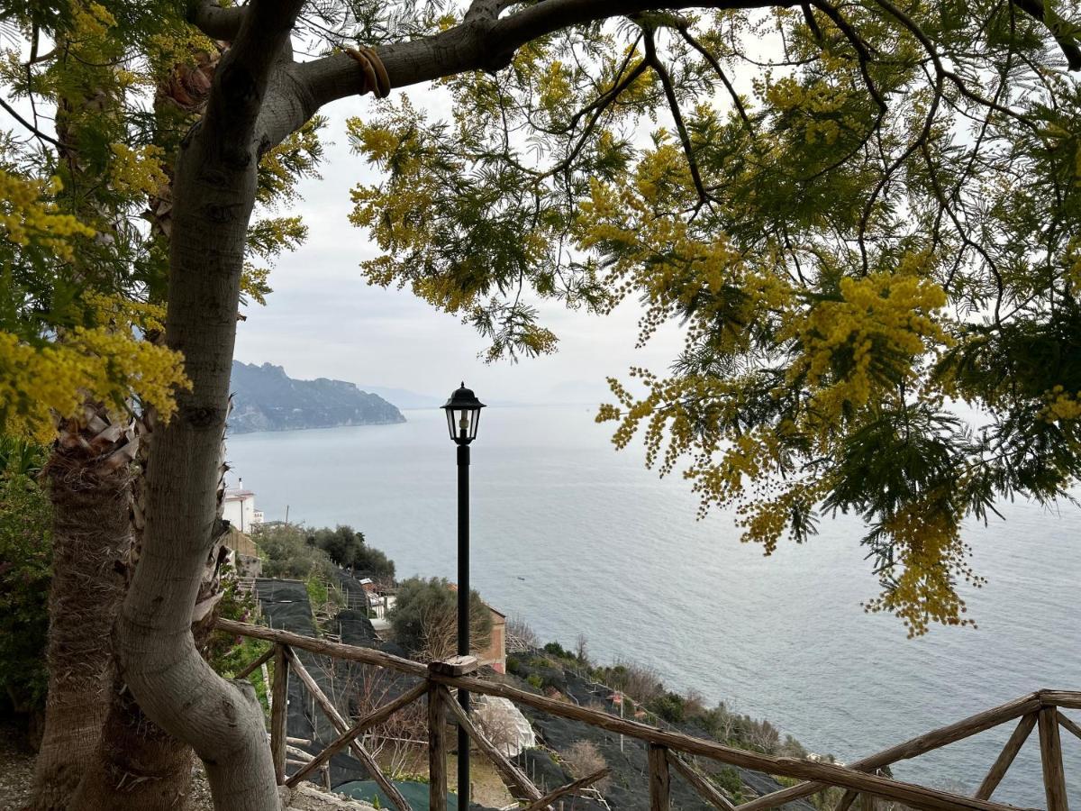 Villa Hermosa Costiera Amalfitana Ngoại thất bức ảnh