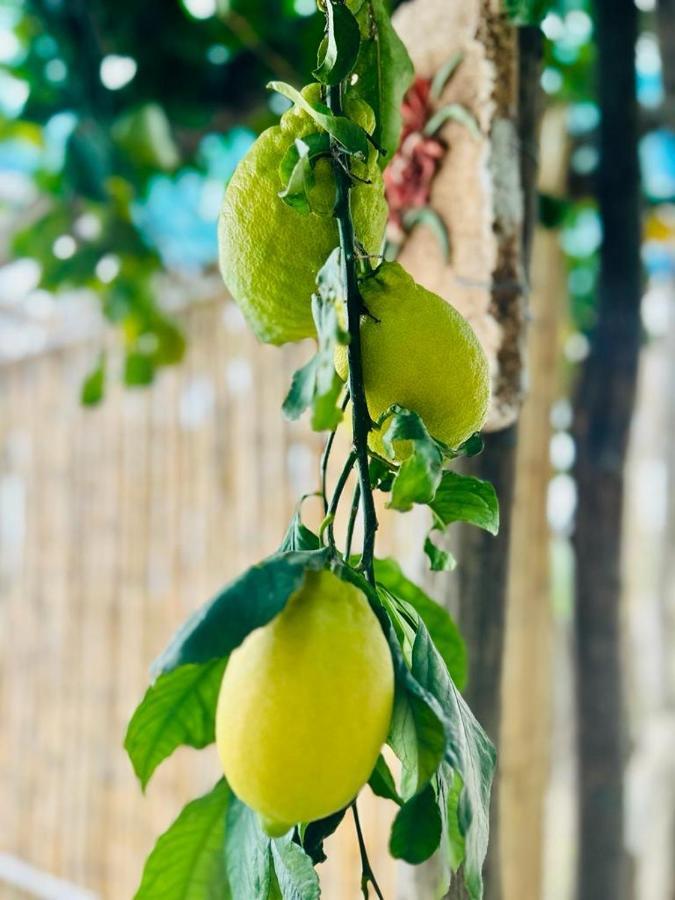 Villa Hermosa Costiera Amalfitana Ngoại thất bức ảnh